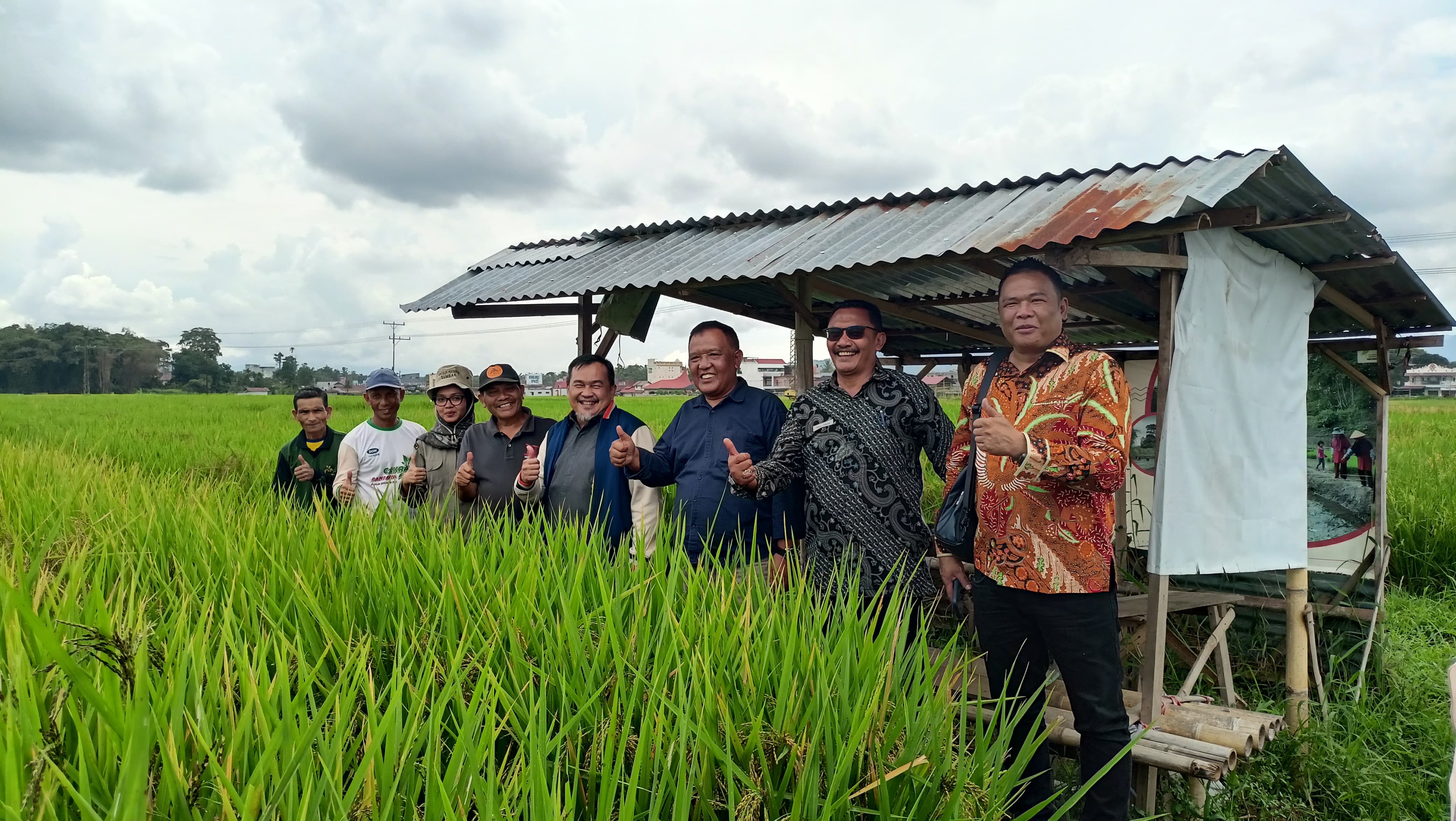 Pansus III DPRD Tinjau Lapangan Program Sawah Pokok Murah dalam Evaluasi LKPj Bupati